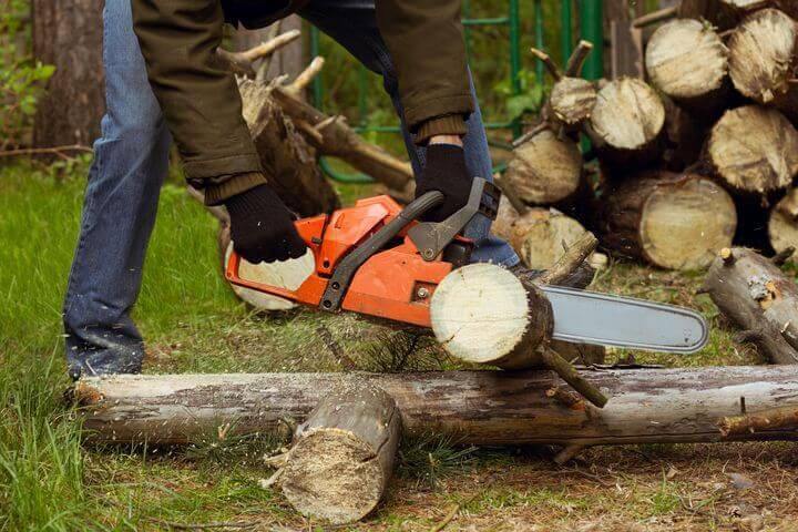 Man saegt baum mit einer kettensaege