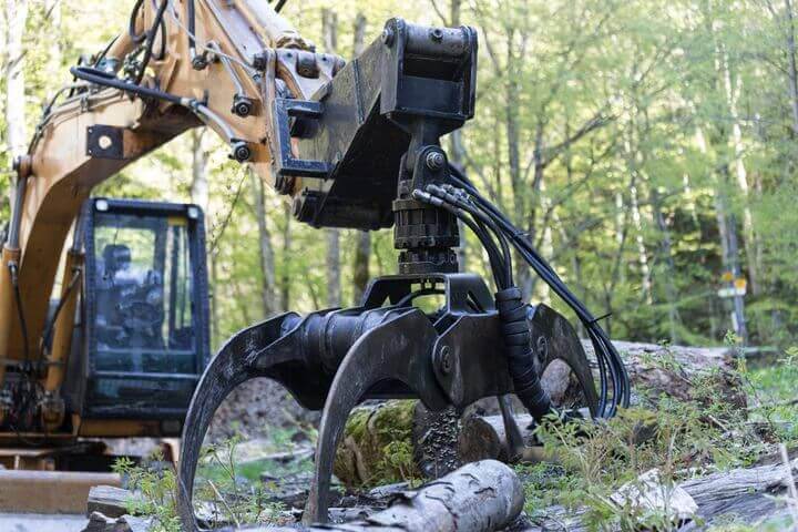 Kran hebt gefaellten Baum an