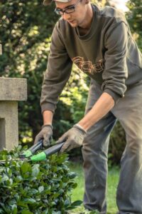 Blumen Rosenrot Mitarbeiter Schneidet Busch Garten