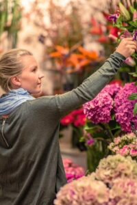 Blumen Rosenrot Mitarbeiterin Manu Steht Vor Hortensien